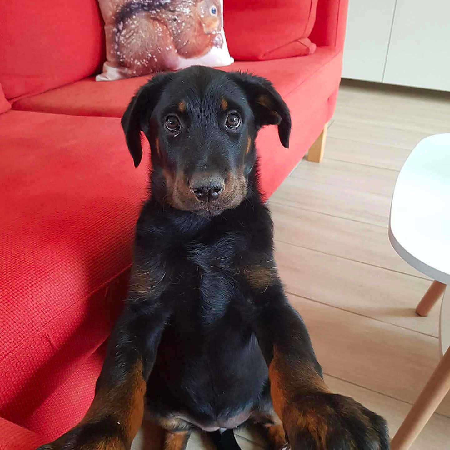 Balka