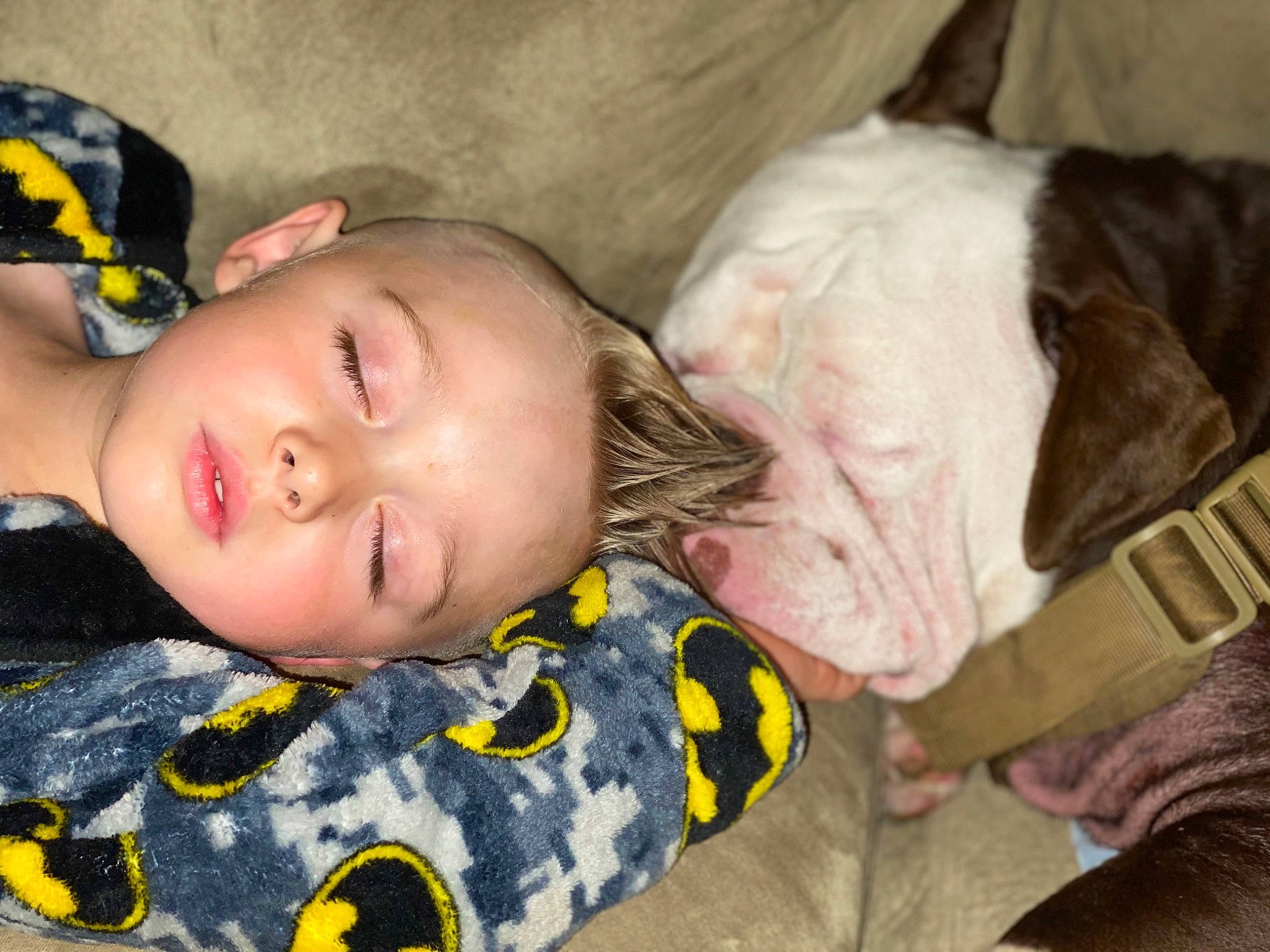 Aiden joined the competition — help win amazing prizes! baby, baby_products, baby_toddler_clothing, bedtime, cheek, child, comfort, companion_dog, dog, dog_breed, fawn, hair_accessory, iris, liver, nap, nose, organ, person, sleep, working_animal