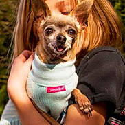 Blossom is registered to the contest to win money with this photo: