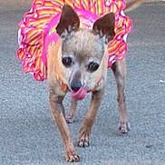 Suzan Paschall is registered to the contest to win money with this photo: