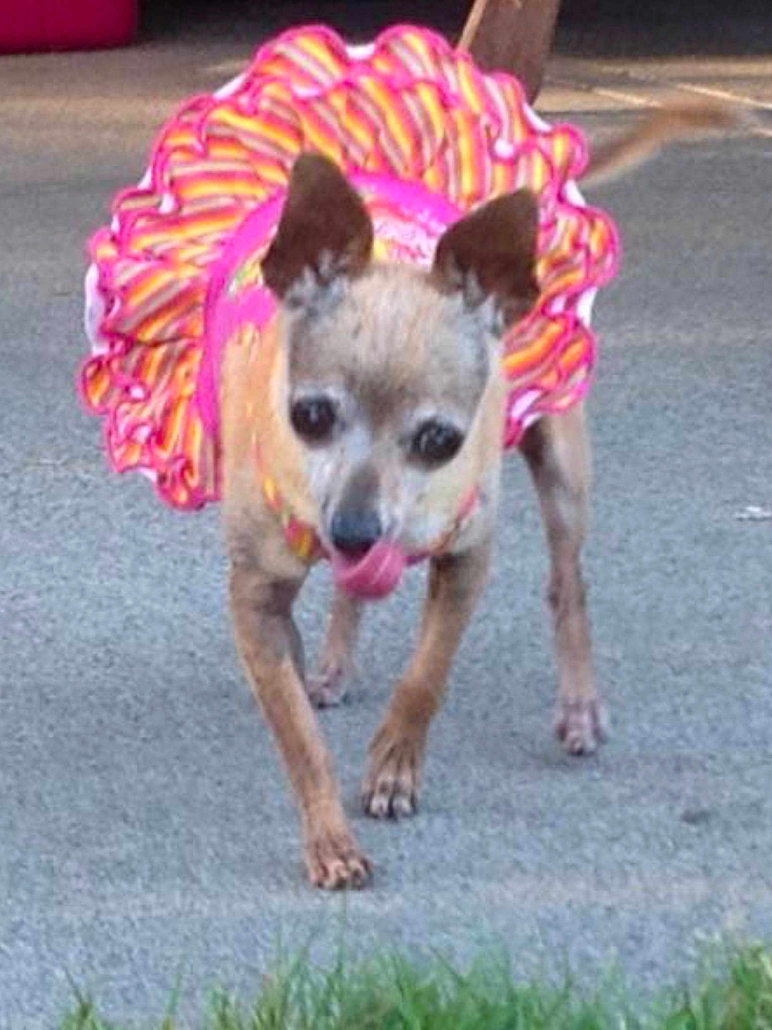 Suzan Paschall is registered to the contest to win money with this photo: