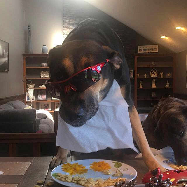 Dutchey