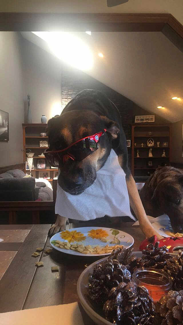 Dutchey