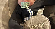 Theodore joined the competition — help win amazing prizes! baby, baby_seat, baby_toy, black_clothing, child, closeup, comfort, cute, expression, face, head, indoor, infant, pacifier, person, seat, soft_texture, straps, wide_eyes, young