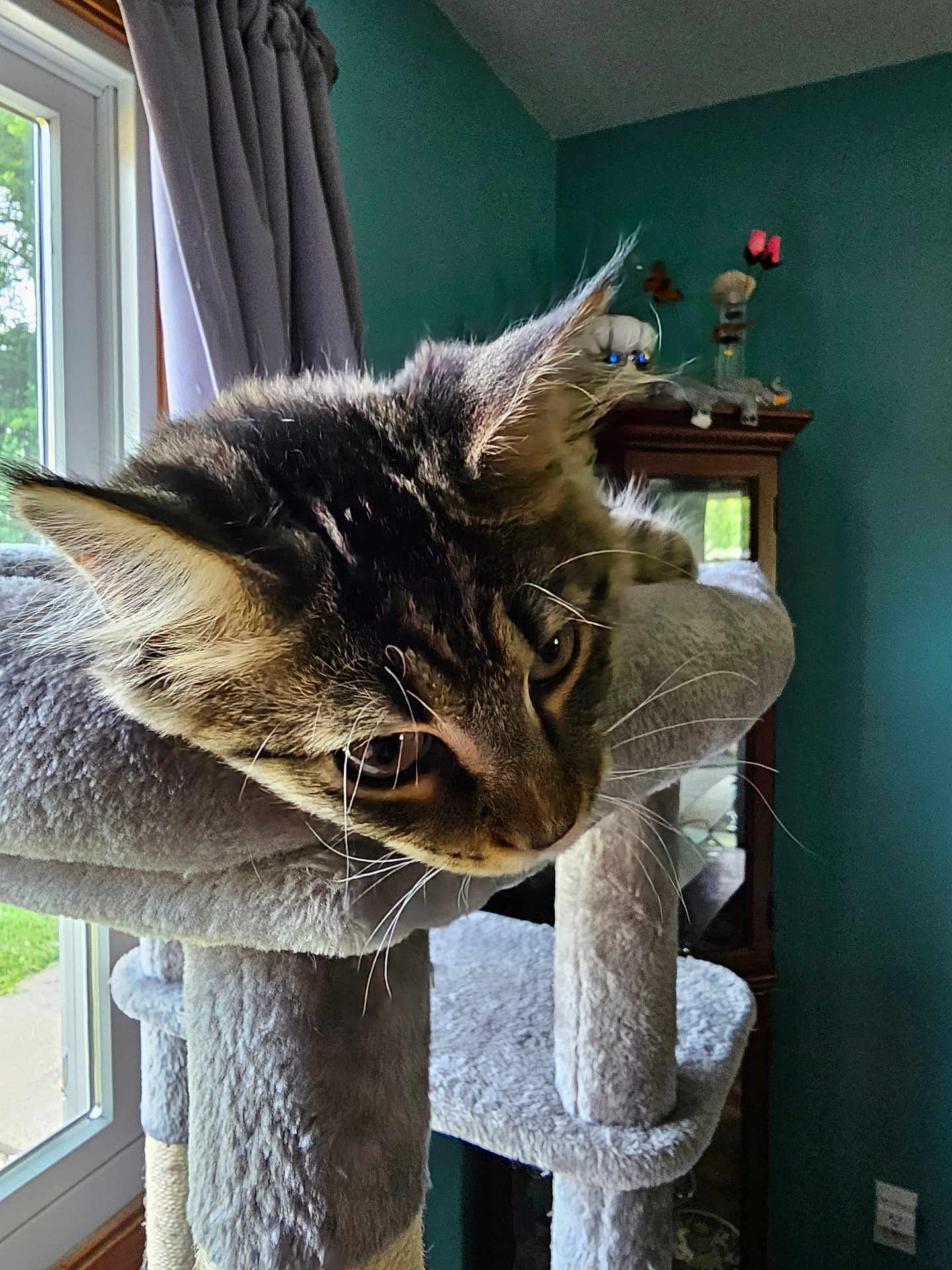 Fiona