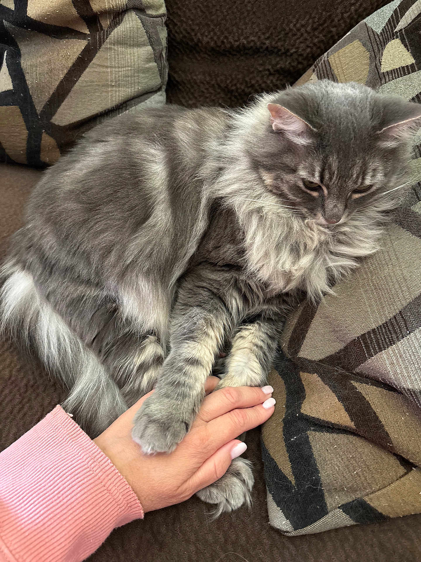 Chloe