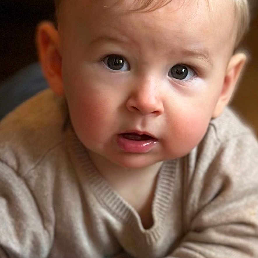 Pacôme participe au concours pour gagner de l'argent avec cette photo : baby, blond_hair, carpet, child, close_up, crawling, curious, cute, expression, face, hands, home, indoor, infant, person, portrait, skin, soft_light, sweater, young_child
