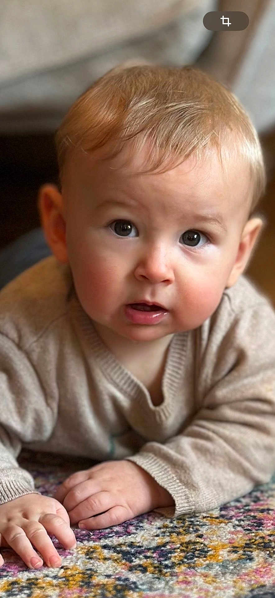 Pacôme participe au concours pour gagner de l'argent avec cette photo : baby, blond_hair, carpet, child, close_up, crawling, curious, cute, expression, face, hands, home, indoor, infant, person, portrait, skin, soft_light, sweater, young_child