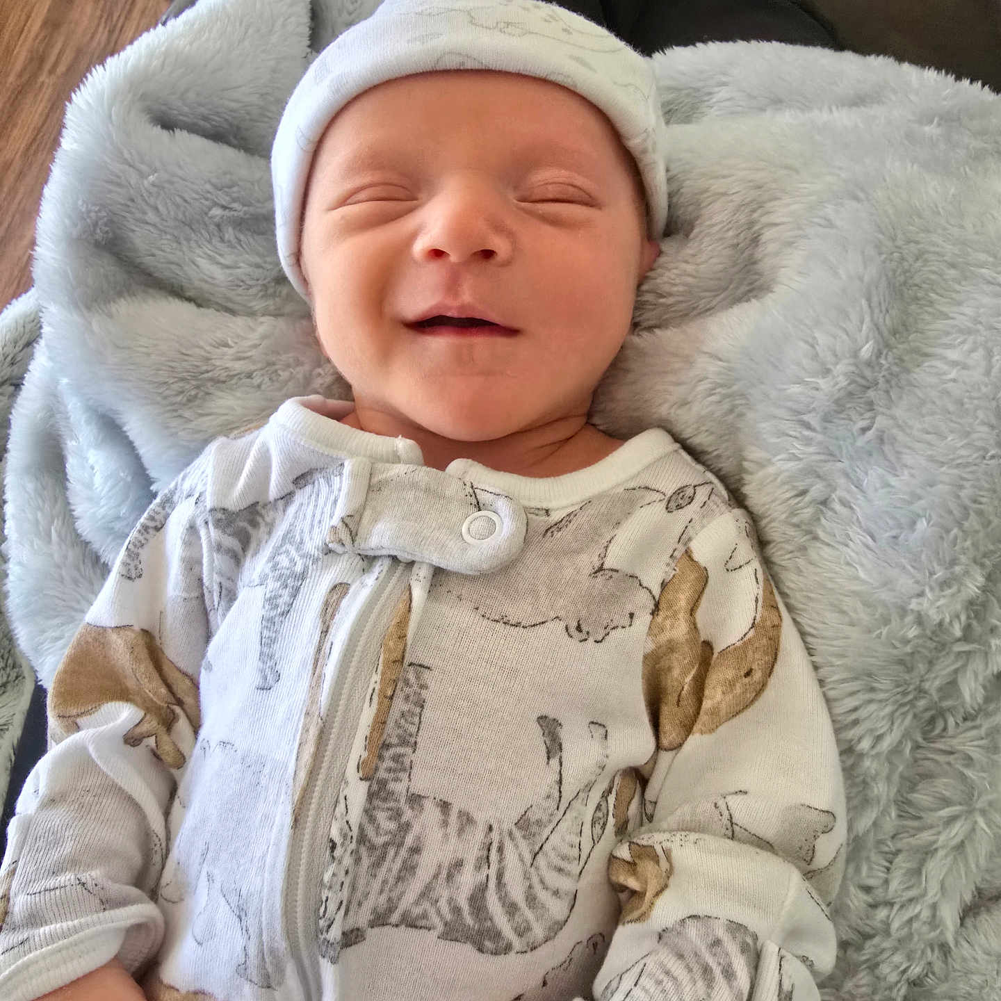 Asher joined the competition — help win amazing prizes! baby, blanket, bonnet, cap, clothing, couch, face, furniture, glove, hat, head, hoodie, knitwear, newborn, person, photography, portrait, quilt, sleeping, sweater