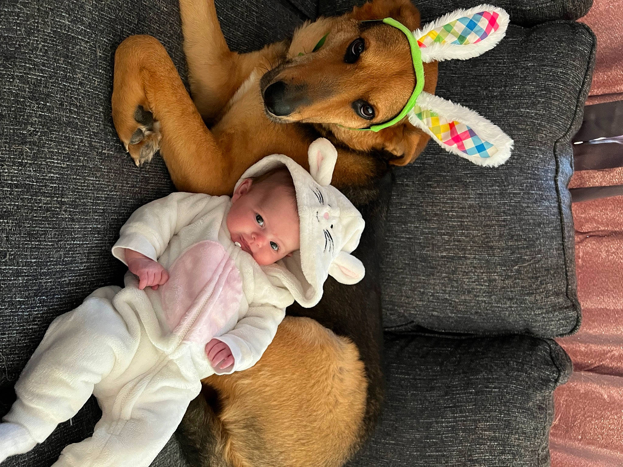 Sophia is registered to the contest to win money with this photo: baby, baby_products, baby_toddler_clothing, child, comfort, fawn, foot, fun, fur, hat, lap, linens, mammal, person, sitting, smile, stuffed_toy, textile, toddler, toy