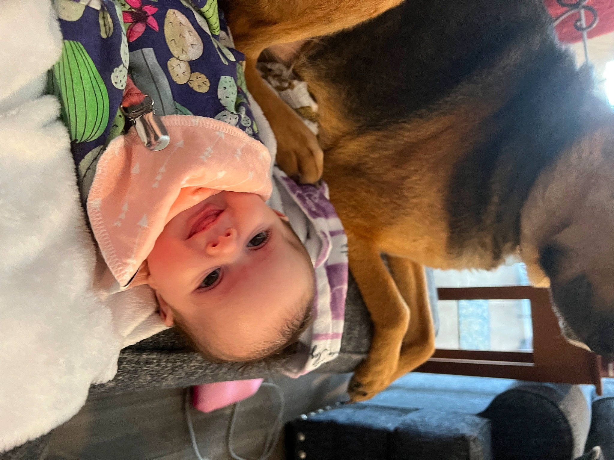 Sophia joined the competition — help win amazing prizes! baby, baby_products, car_seat, child, comfort, companion_dog, eyelash, fun, fur, happy, human, human_body, nap, nose, person, sleep, smile, toddler, tree, working_animal