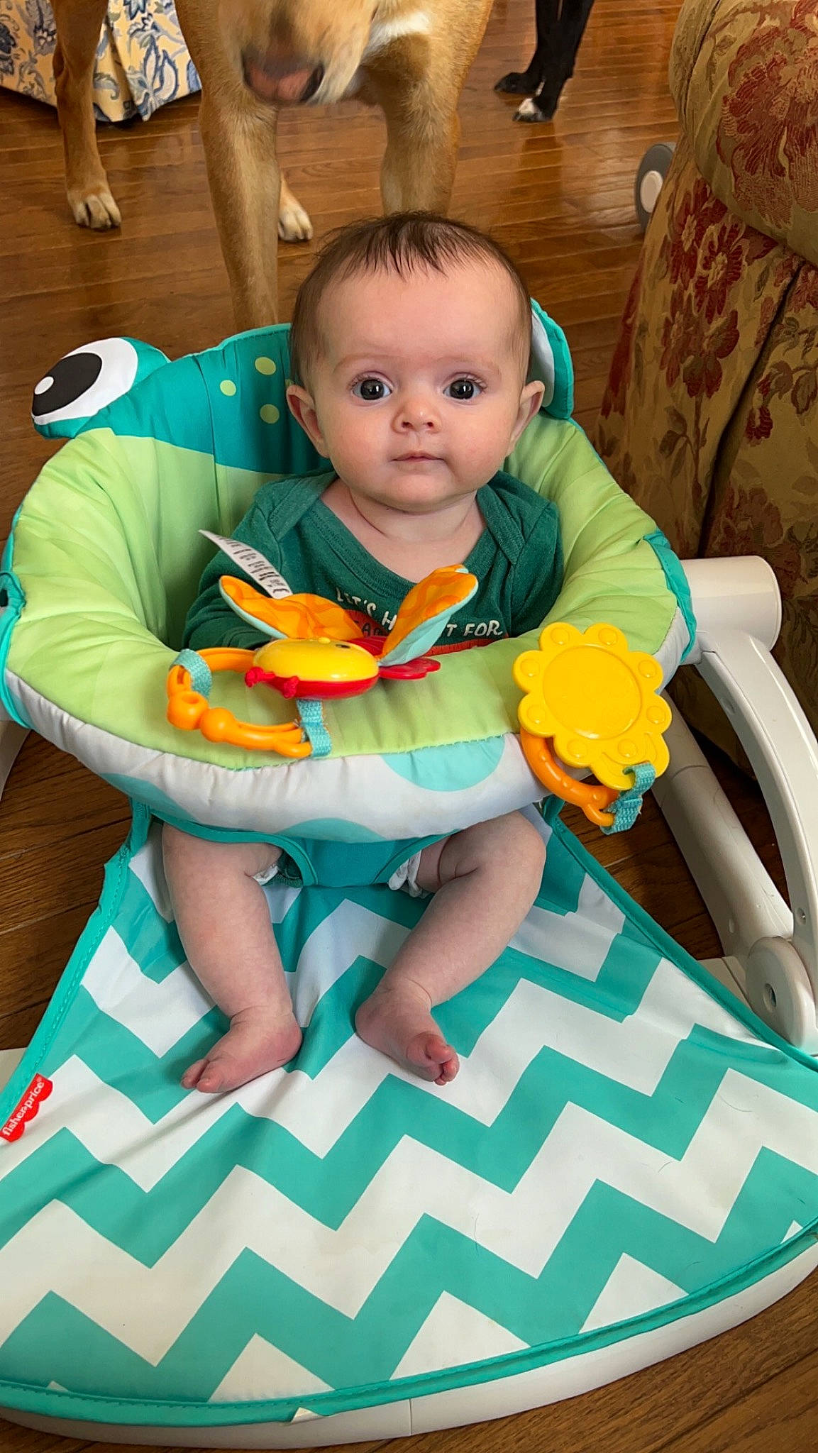 Sophia is registered to the contest to win money with this photo: aqua, baby, baby_products, baby_safety, baby_toddler_clothing, baby_toys, chair, child, comfort, flooring, fun, green, happy, lap, leisure, person, play, room, sitting, stuffed_toy