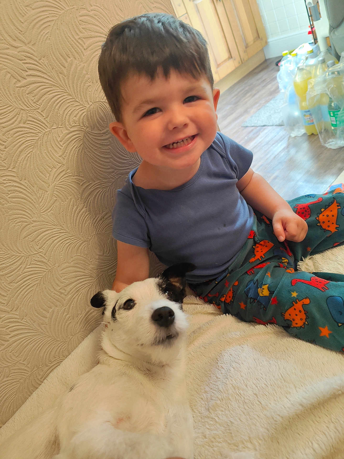 Theo joined the competition — help win amazing prizes! toddler, child, dog, smiling, sitting, blanket, indoor, flooring, wall, clothing, dinosaur_print, pet, happy, furniture, portrait, cute, cozy, young_child, animal, person
