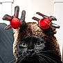 cat, black_cat, animal, pet, costume, reindeer_hat, holiday, festive, antlers, red_pom_poms, furry, whiskers, face, close_up, indoor, cute, adorable, portrait, funny, expression