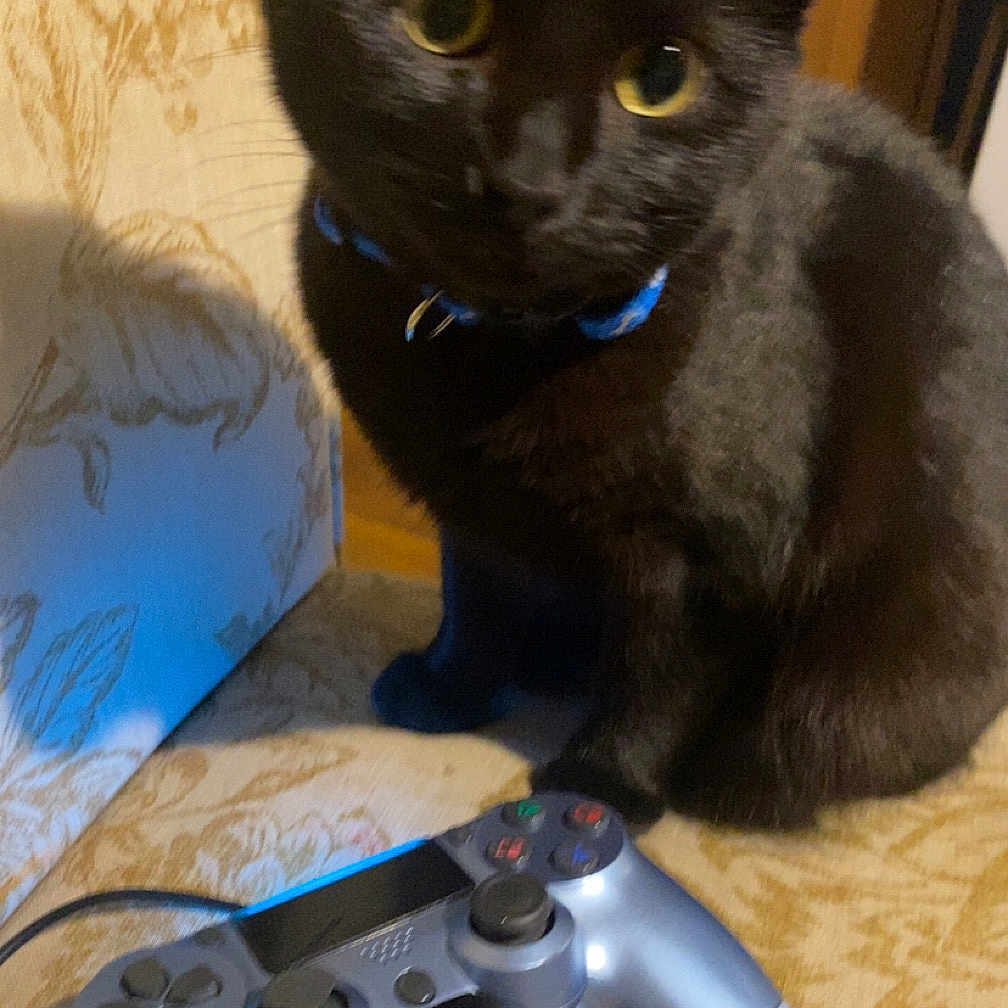 Salem