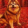 dog, fluffy_dog, autumn, fall_leaves, forest, outdoor, nature, canine, happy_dog, smiling, fur, sitting, trees, leaf_litter, seasonal, animal, pet, mammal, brown_fur, scenic