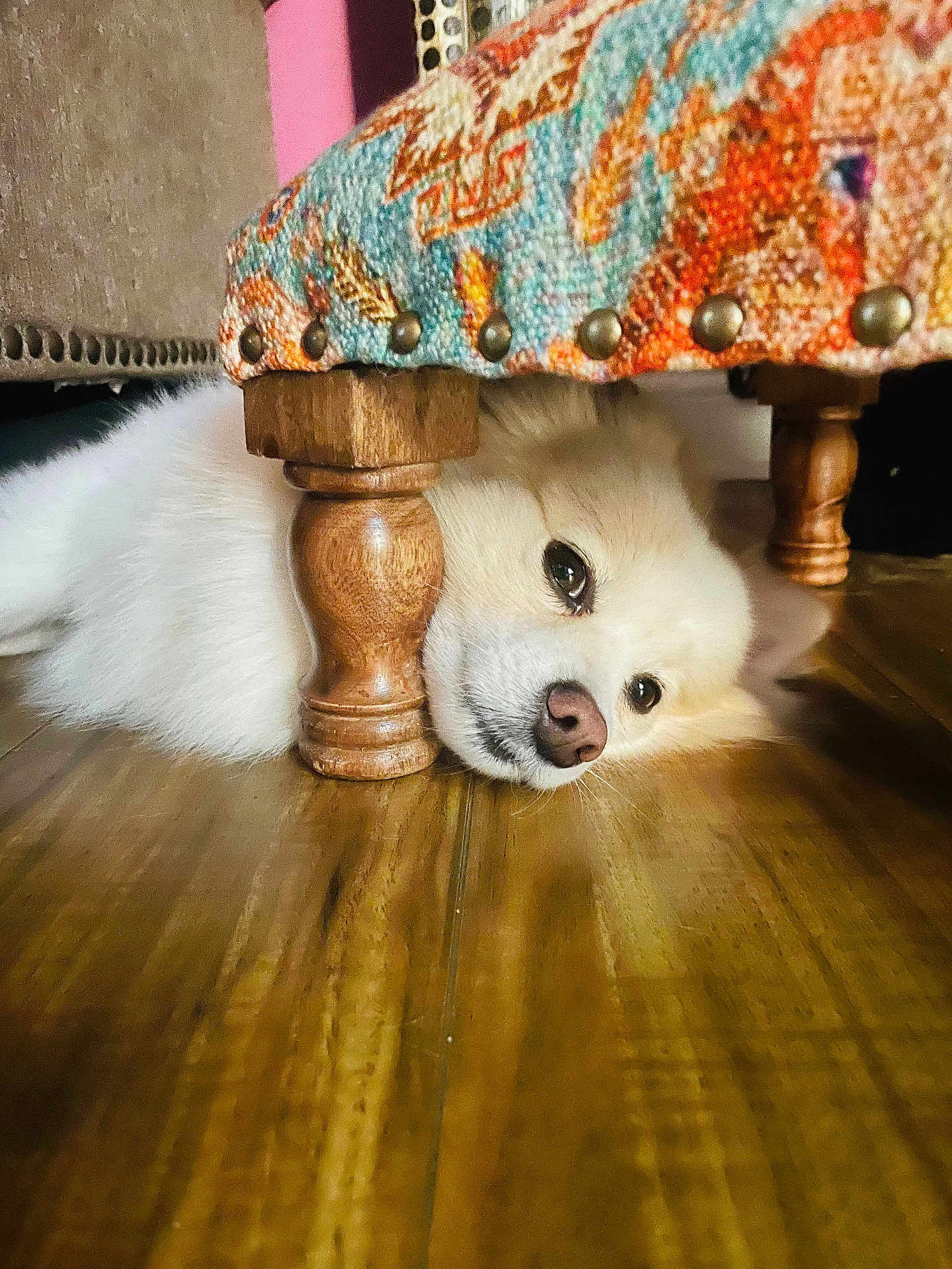 Vinnie