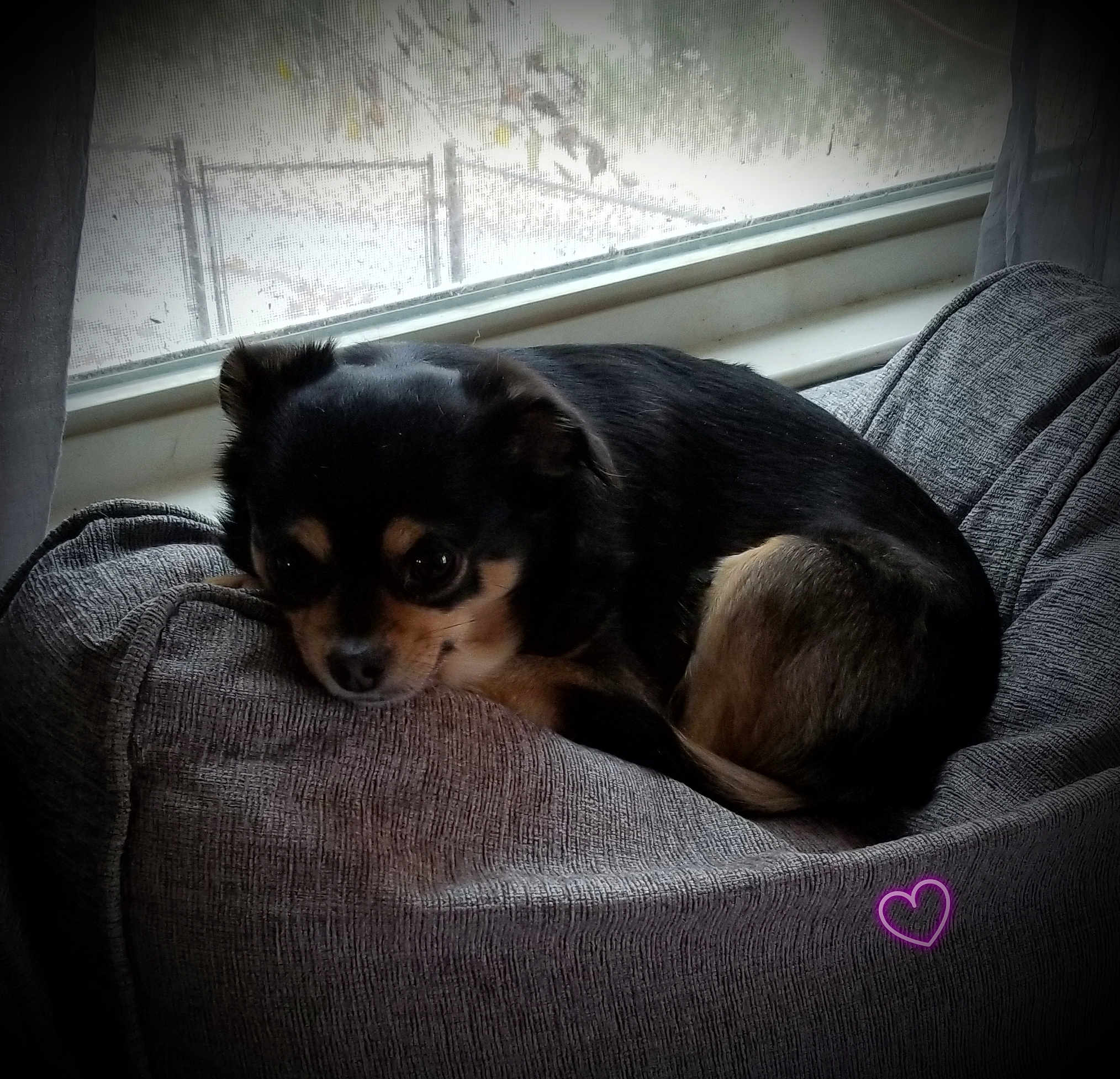 Xophie