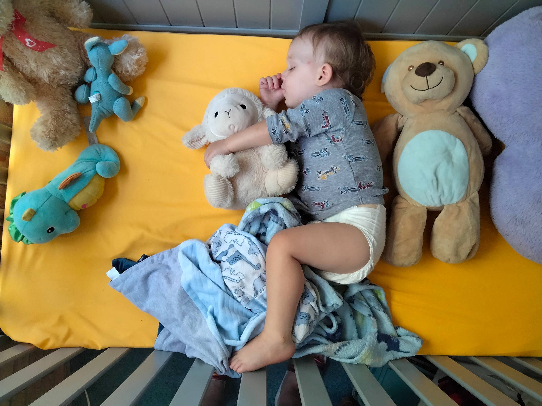 Victor Lucian joined the competition — help win amazing prizes! baby_products, baby_toys, child, comfort, doll, foot, fun, fur, human_leg, leisure, linens, mammal, person, play, plush, sitting, stuffed_toy, teddy_bear, toy, vertebrate