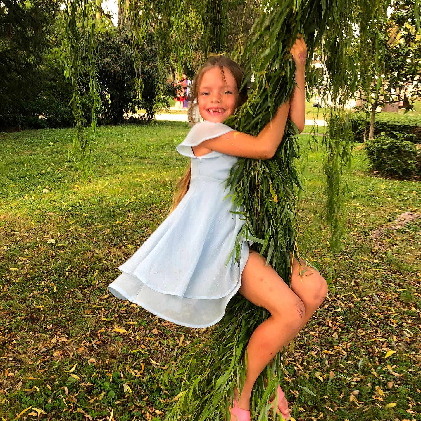 Eva participe au concours pour gagner de l'argent avec cette photo : child, clothing, dress, face, female, formalwear, girl, grass, head, herbal, herbs, nature, outdoors, park, person, photography, plant, portrait, tree, vegetation