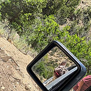 Rockie joined the competition — help win amazing prizes! dog, car, side_mirror, reflection, outdoor, nature, greenery, rocks, person, red_shirt, tongue_out, happy, sunny, vehicle, forest, trees, roadside, smiling, adventure, travel