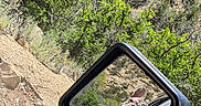 Rockie joined the competition — help win amazing prizes! adventure, car, dog, forest, greenery, happy, nature, outdoor, person, red_shirt, reflection, roadside, rocks, side_mirror, smiling, sunny, tongue_out, travel, trees, vehicle