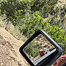 dog, car, side_mirror, reflection, outdoor, nature, greenery, rocks, person, red_shirt, tongue_out, happy, sunny, vehicle, forest, trees, roadside, smiling, adventure, travel