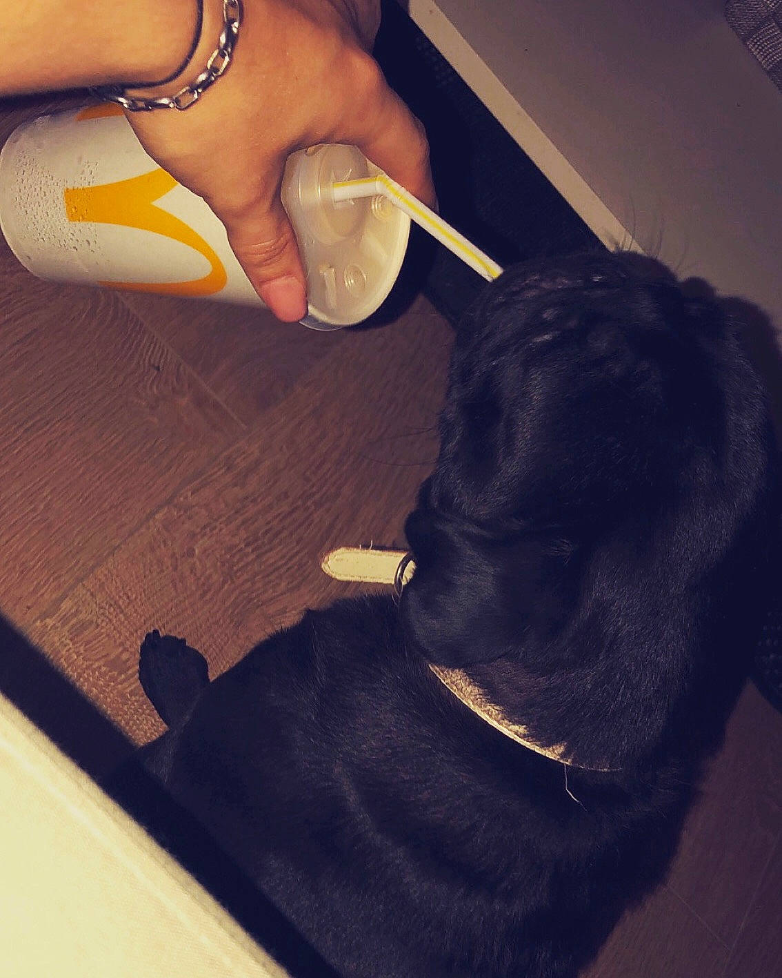 Olympe a rejoint le concours — aidez-le/la à gagner de superbes lots ! ear, glasses, hand, material_property, mouth, neck, square