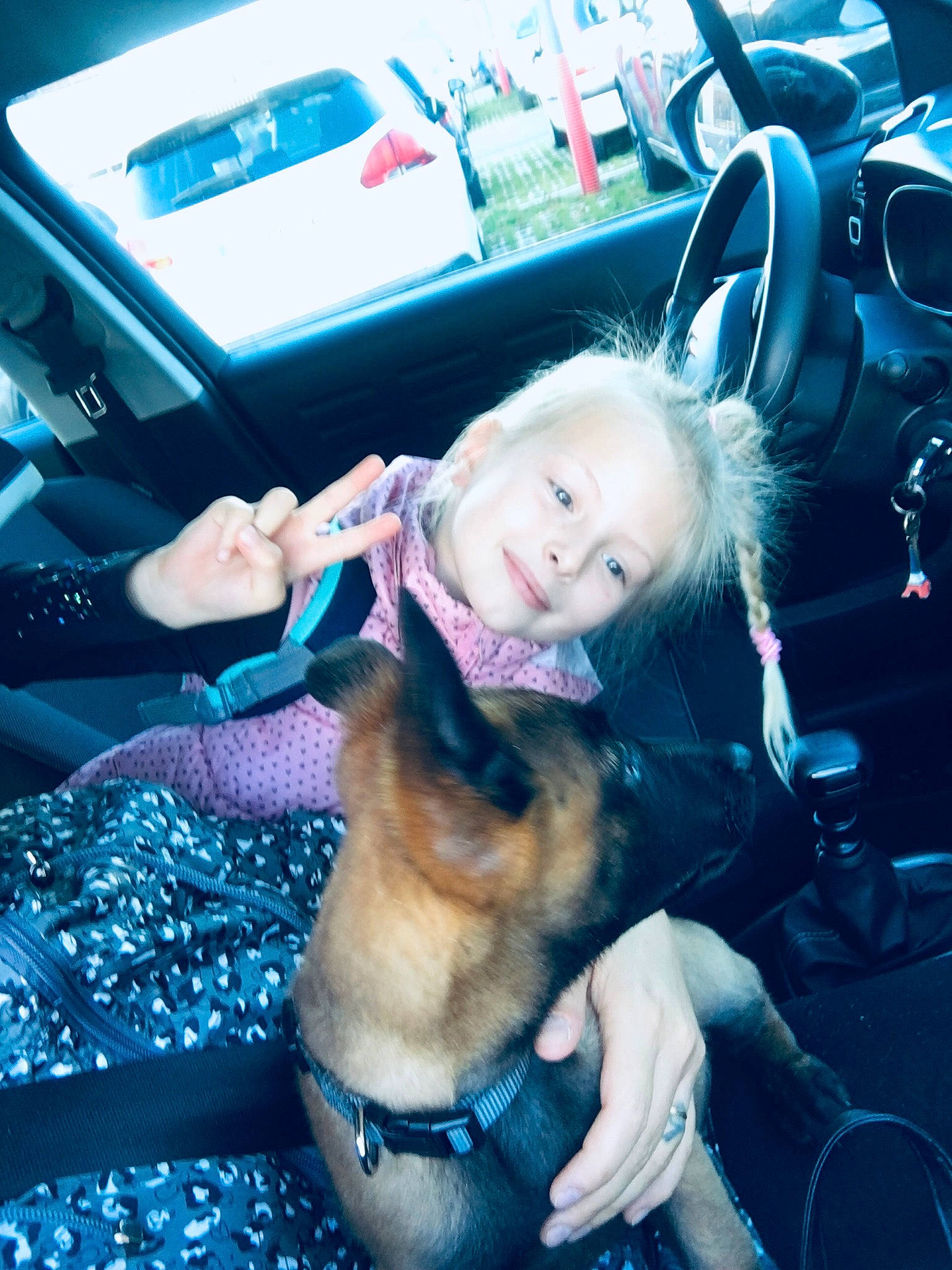 Spart participe au concours pour gagner de l'argent avec cette photo : auto_part, automotive_design, automotive_exterior, blue, car, car_seat, carnivore, companion_dog, cool, dog, electric_blue, fun, happy, leisure, motor_vehicle, personal_luxury_car, selfie, snapshot, steering_wheel, vehicle_door