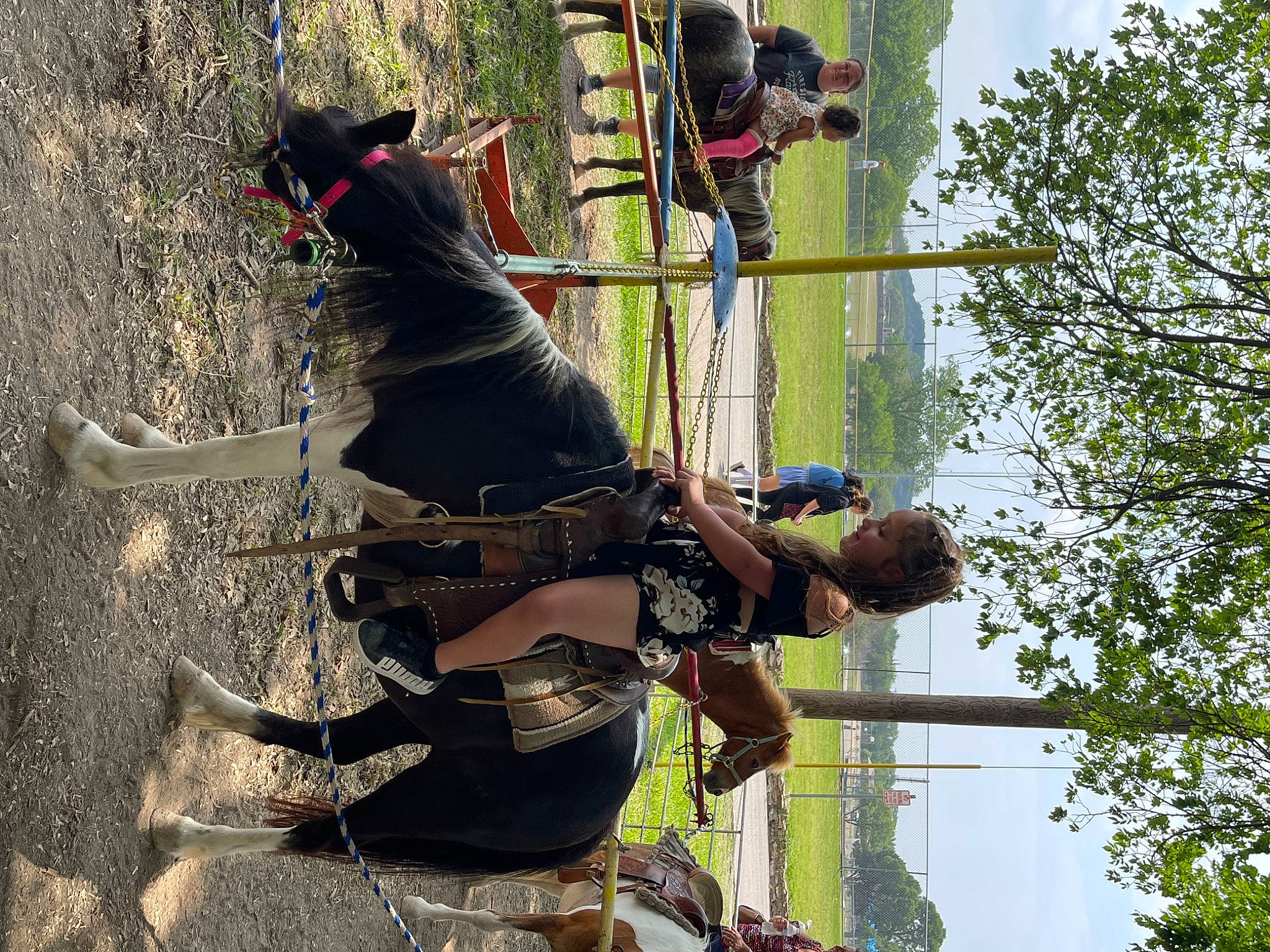 Emilia is registered to the contest to win money with this photo: adventure, bit, bridle, fun, green, horse, horse_supplies, horse_tack, joy, leisure, livestock, pack_animal, person, plant, pole, recreation, rein, sky, stallion, tree