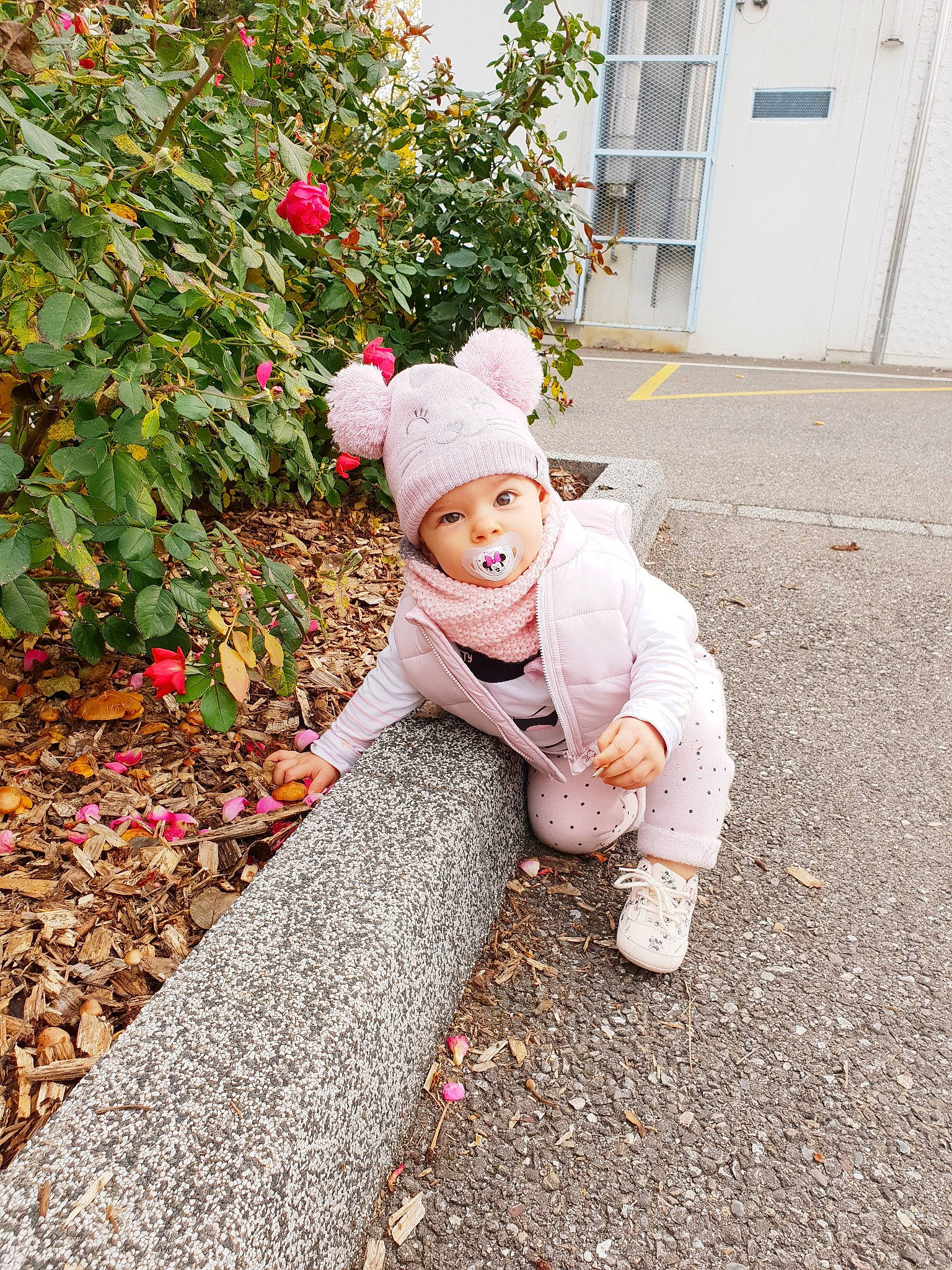 Miley participe au concours pour gagner de l'argent avec cette photo : autumn, baby, child, dress, flower, headgear, headwear, leaf, outerwear, people, person, photograph, photography, pink, plant, sidewalk, sitting, smile, snapshot, spring