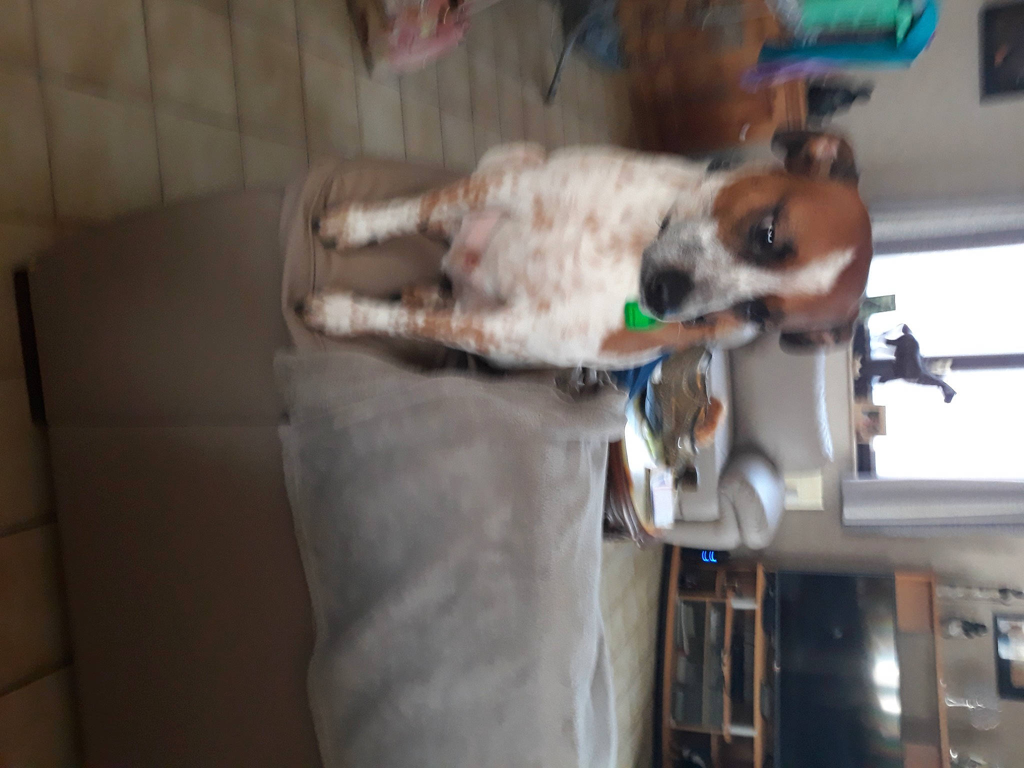 Happy participe au concours pour gagner de l'argent avec cette photo : flooring, hardwood, machine, room, service