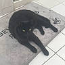 Pumpkin is registered to the contest to win money with this photo: black_cat, cat, pet, animal, mat, floor, tiled_floor, indoor, door, glass_door, yellow_eyes, resting, stretching, feline, domestic_cat, curious, calm, home, quiet, relaxed