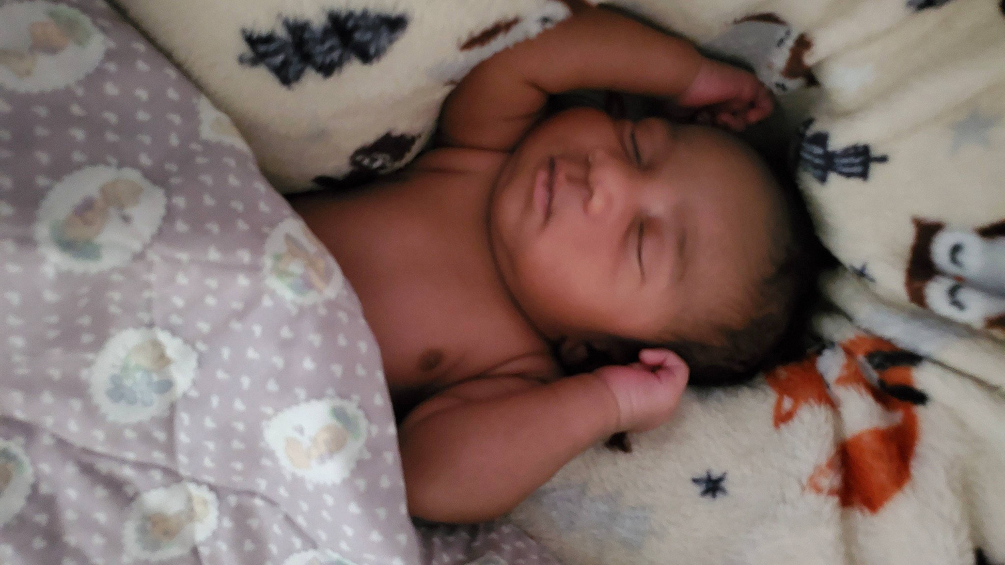 Kire joined the competition — help win amazing prizes! bed, bed_sheet, bedding, bedtime, child, comfort, eyelash, flesh, fur, gesture, grass, happy, human_leg, linens, nap, pattern, person, room, skin, textile