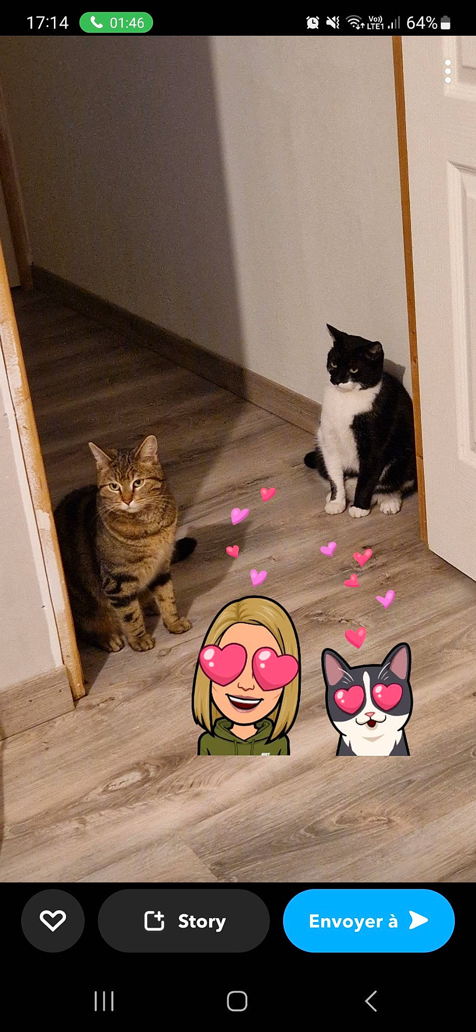 Baloune participe au concours pour gagner de l'argent avec cette photo : brown, carnivore, cat, design, domestic_short_haired_cat, door, felidae, floor, flooring, fur, grey, hardwood, mammal, pattern, small_to_medium_sized_cats, snout, tail, vertebrate, whiskers, wood