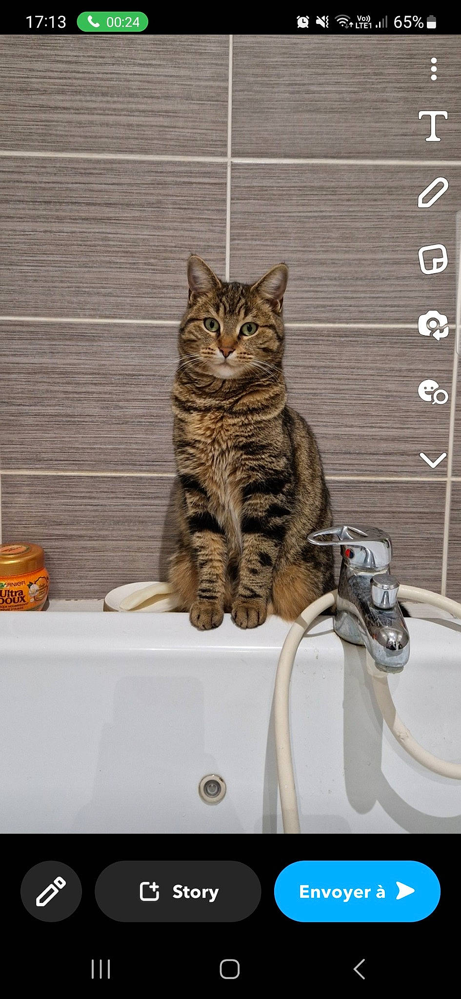 Baloune a rejoint le concours — aidez-le/la à gagner de superbes lots ! bathroom, carnivore, cat, domestic_short_haired_cat, felidae, fur, paw, plumbing, plumbing_fixture, rectangle, sink, sitting, small_to_medium_sized_cats, snout, tail, tap, terrestrial_animal, whiskers, window, wood