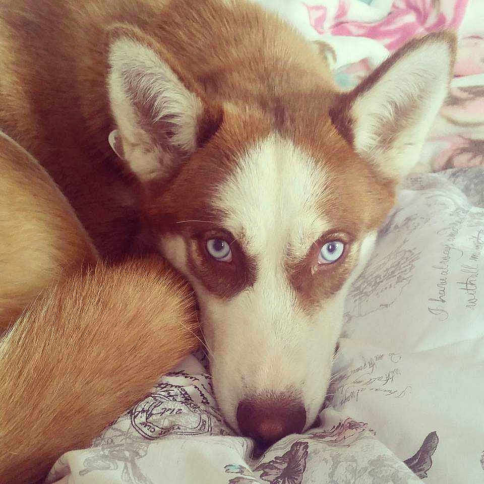 Willow is registered to the contest to win money with this photo: