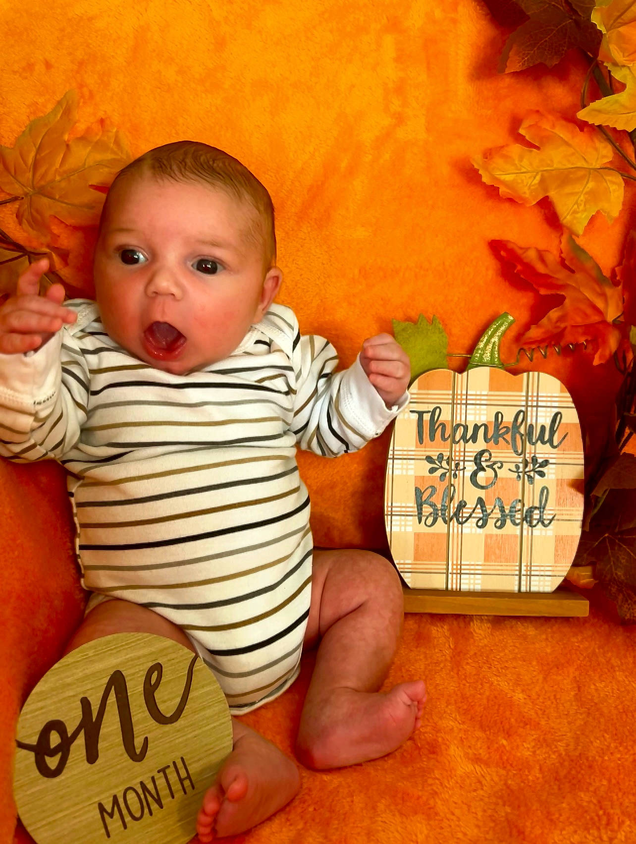 Lane is registered to the contest to win money with this photo: baby, baby_toddler_clothing, cheek, child, comfort, finger, flooring, font, foot, happy, lap, person, plant, room, sitting, skin, surprise, thigh, thumb, toddler