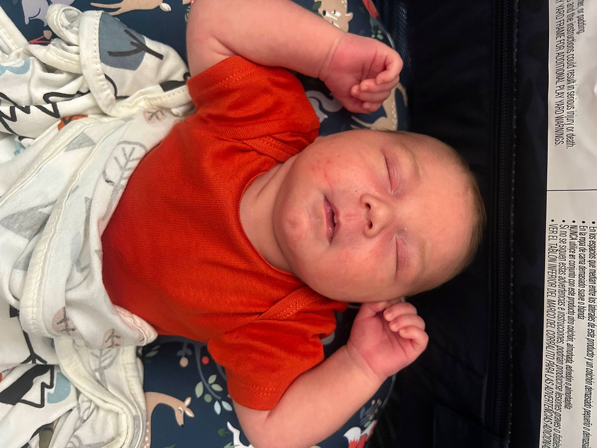 Lane joined the competition — help win amazing prizes! abdomen, arm, baby, cheek, chest, child, comfort, elbow, eyelash, finger, fun, gesture, hand, happy, mouth, nose, person, room, thumb, toddler