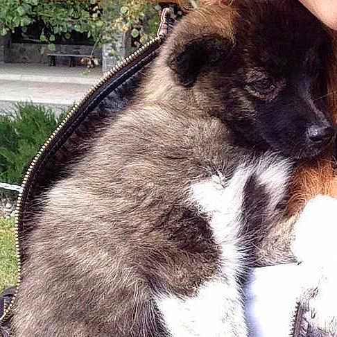 London joined the competition — help win amazing prizes!