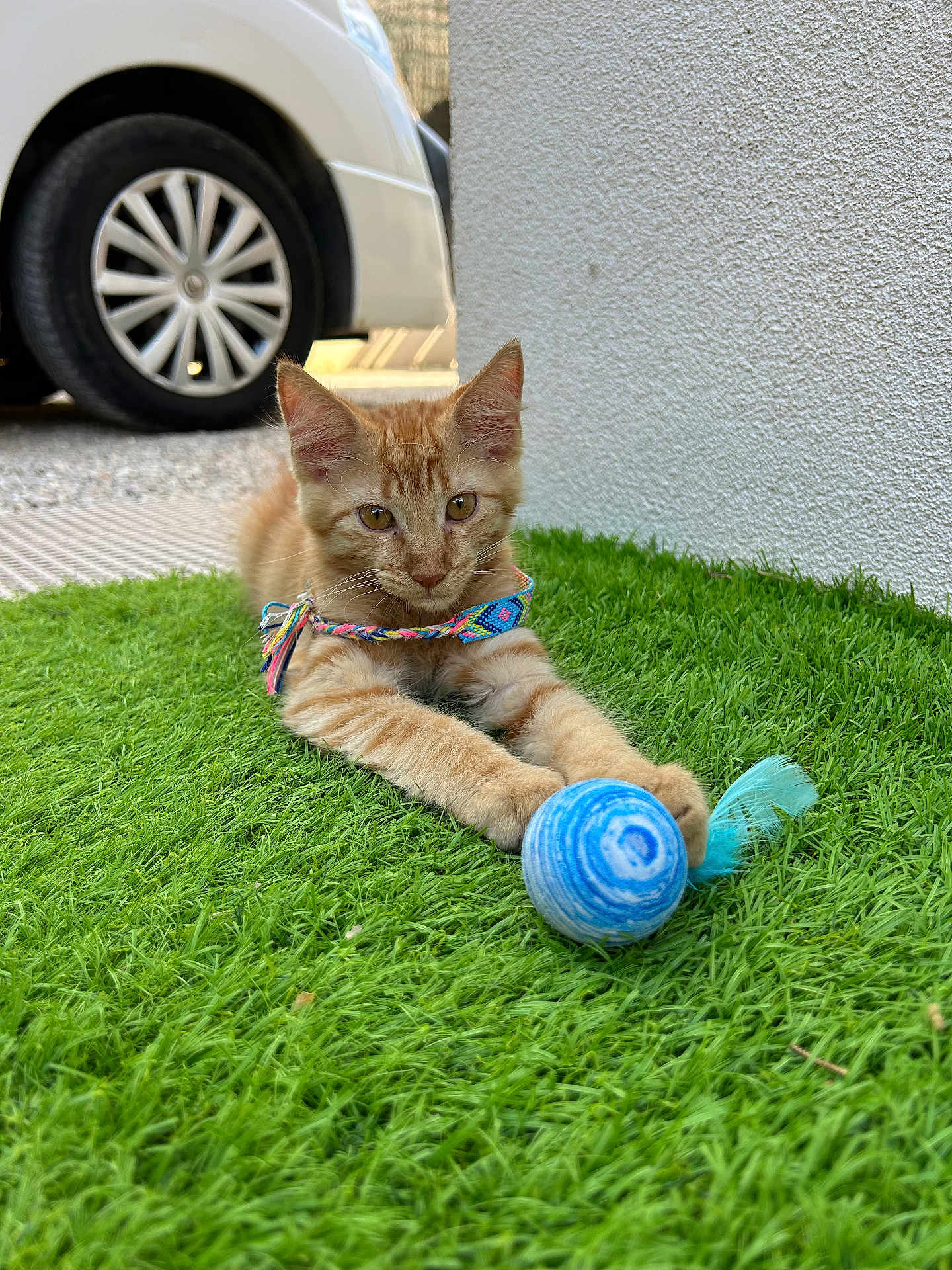 Simba