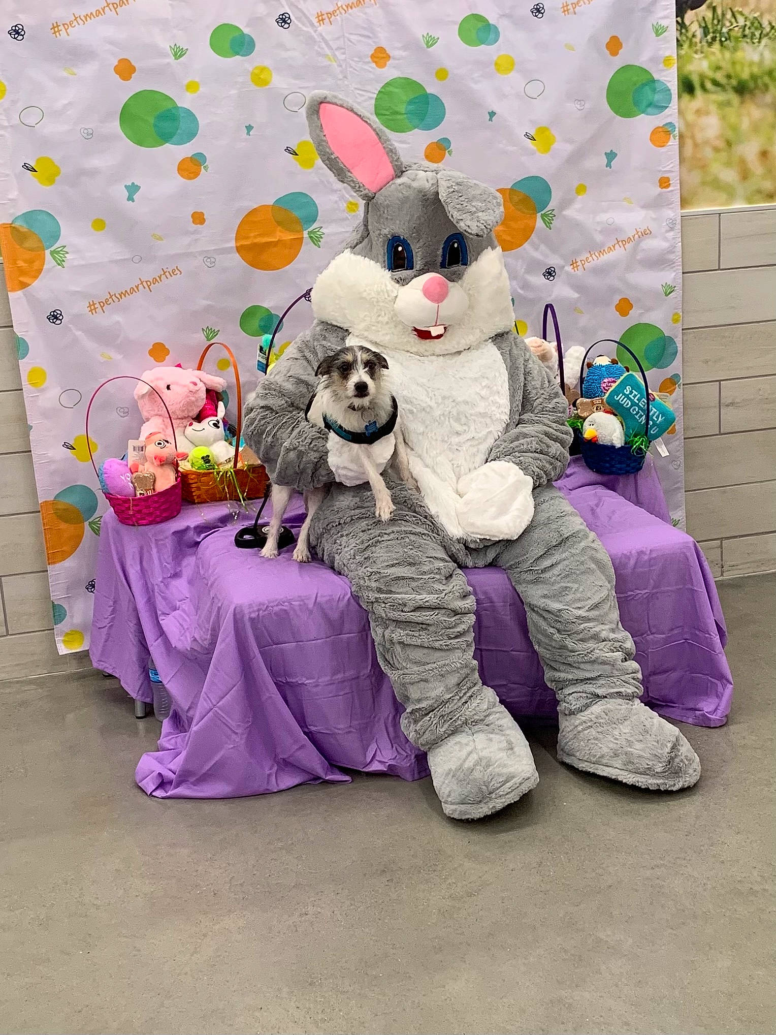 Mountain joined the competition — help win amazing prizes! animation, art, baby_toys, event, fictional_character, font, fur, grass, happy, magenta, party_supply, pattern, pink, plush, purple, snout, stuffed_toy, teddy_bear, toy, violet