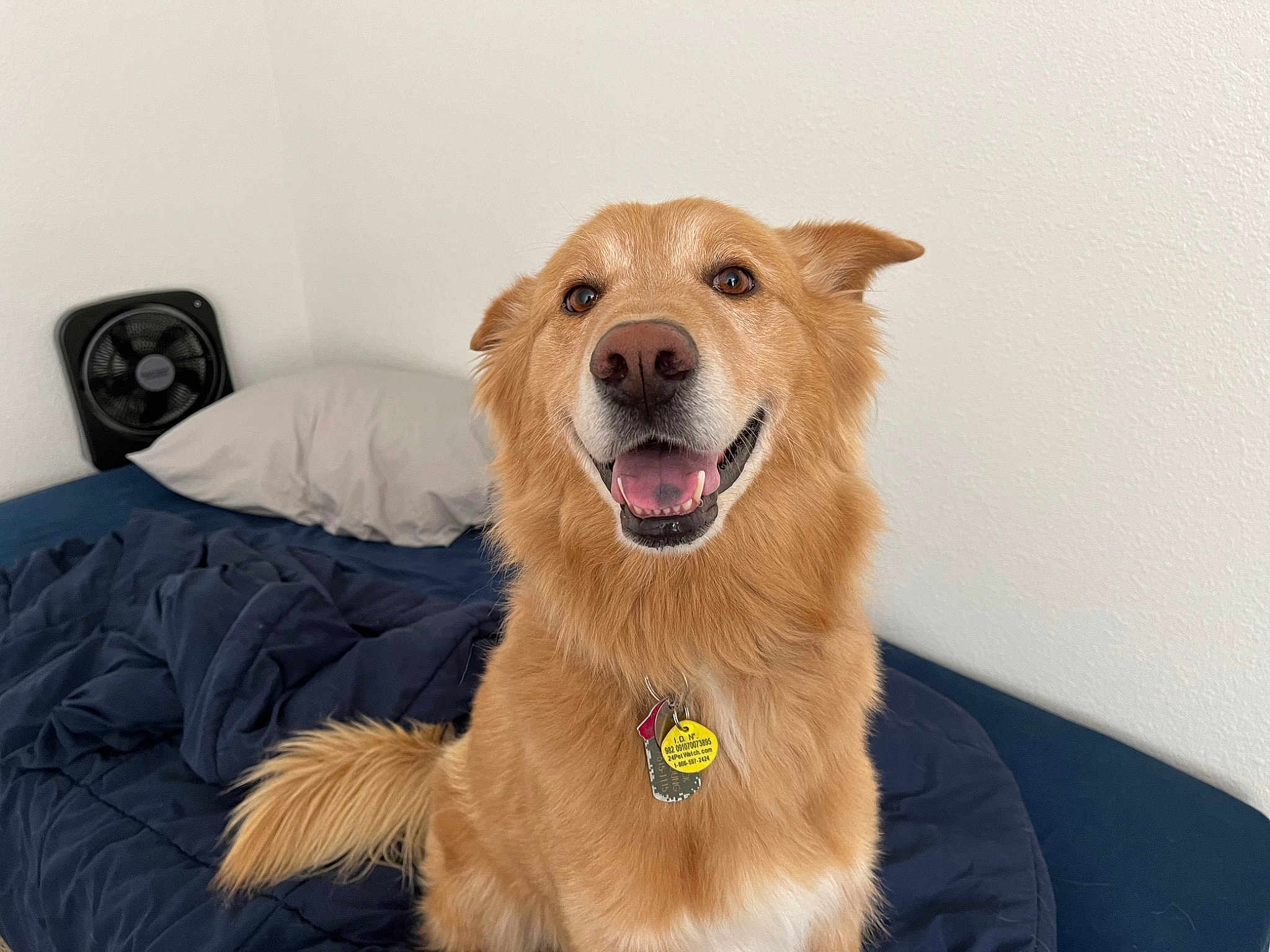 Maverick