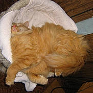 Cinny is registered to the contest to win money with this photo: