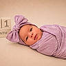 Jaylyn is registered to the contest to win money with this photo: baby, blanket, blocks, child, cute, face, head, headband, infant, lying_down, milestone, month, newborn, one_month, portrait, purple, soft_texture, studio, swaddle, wrapped