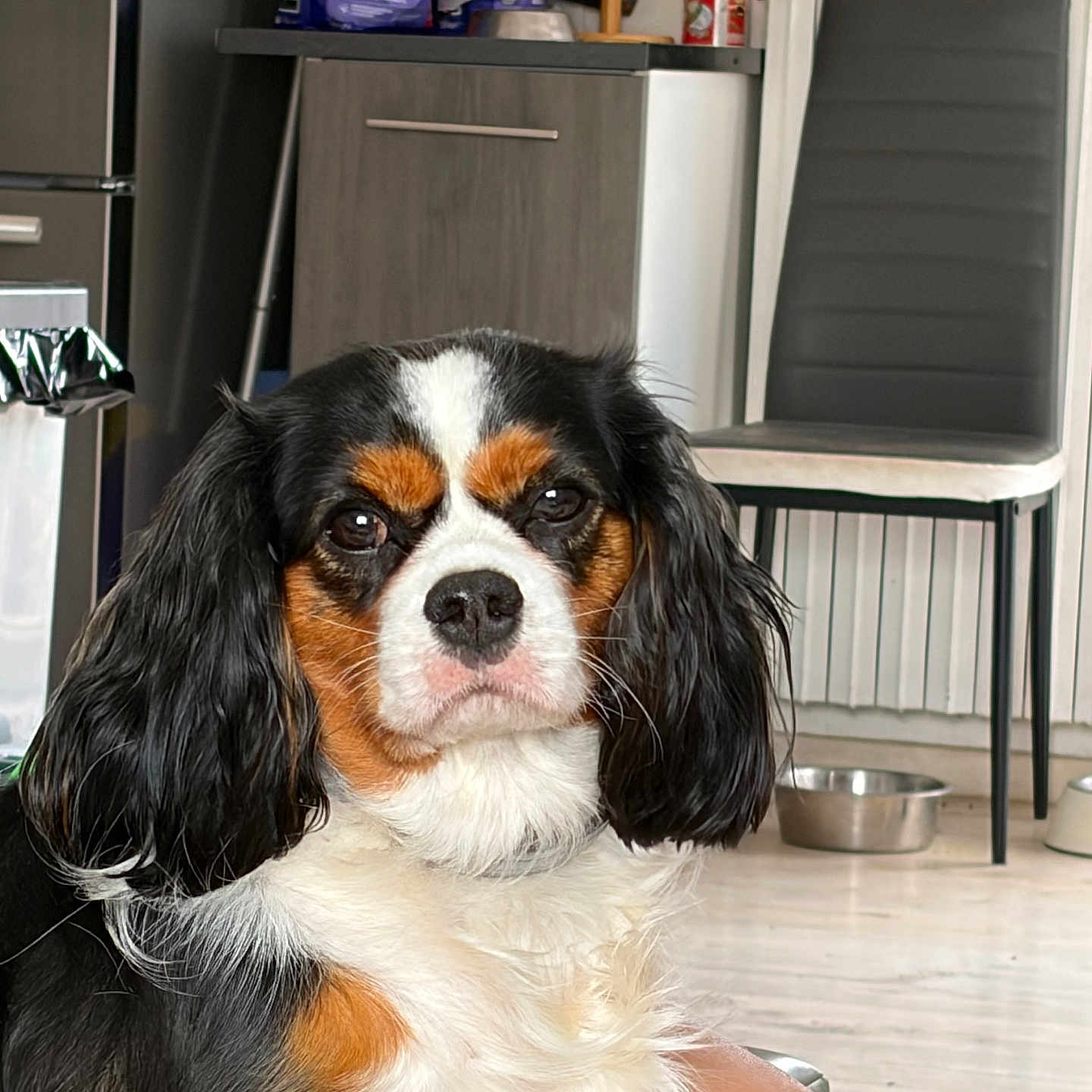 Viky