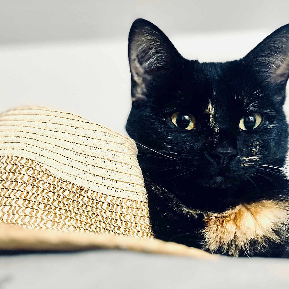 Bella
