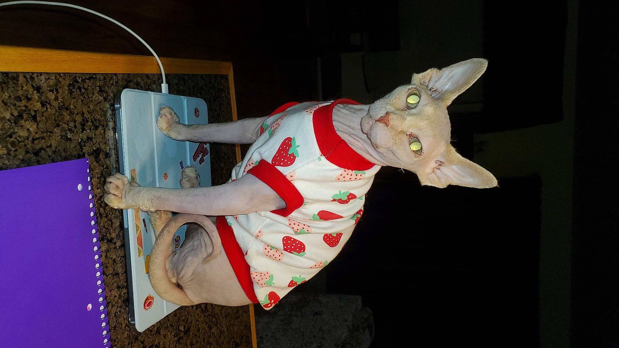 Gaia joined the competition — help win amazing prizes! animal_figure, art, carmine, craft, creative_arts, event, fawn, fictional_character, mythical_creature, paper, paper_product, pattern, plastic, sculpture, tail, toy, visual_arts, working_animal