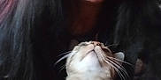 Maya participe au concours pour gagner de l'argent avec cette photo : person, cat, long_hair, indoor, pet, face, whiskers, closeup, casual, smile, looking_up, feline, domestic_animal, hair, portrait, friendly, candid, cute, animal, cozy