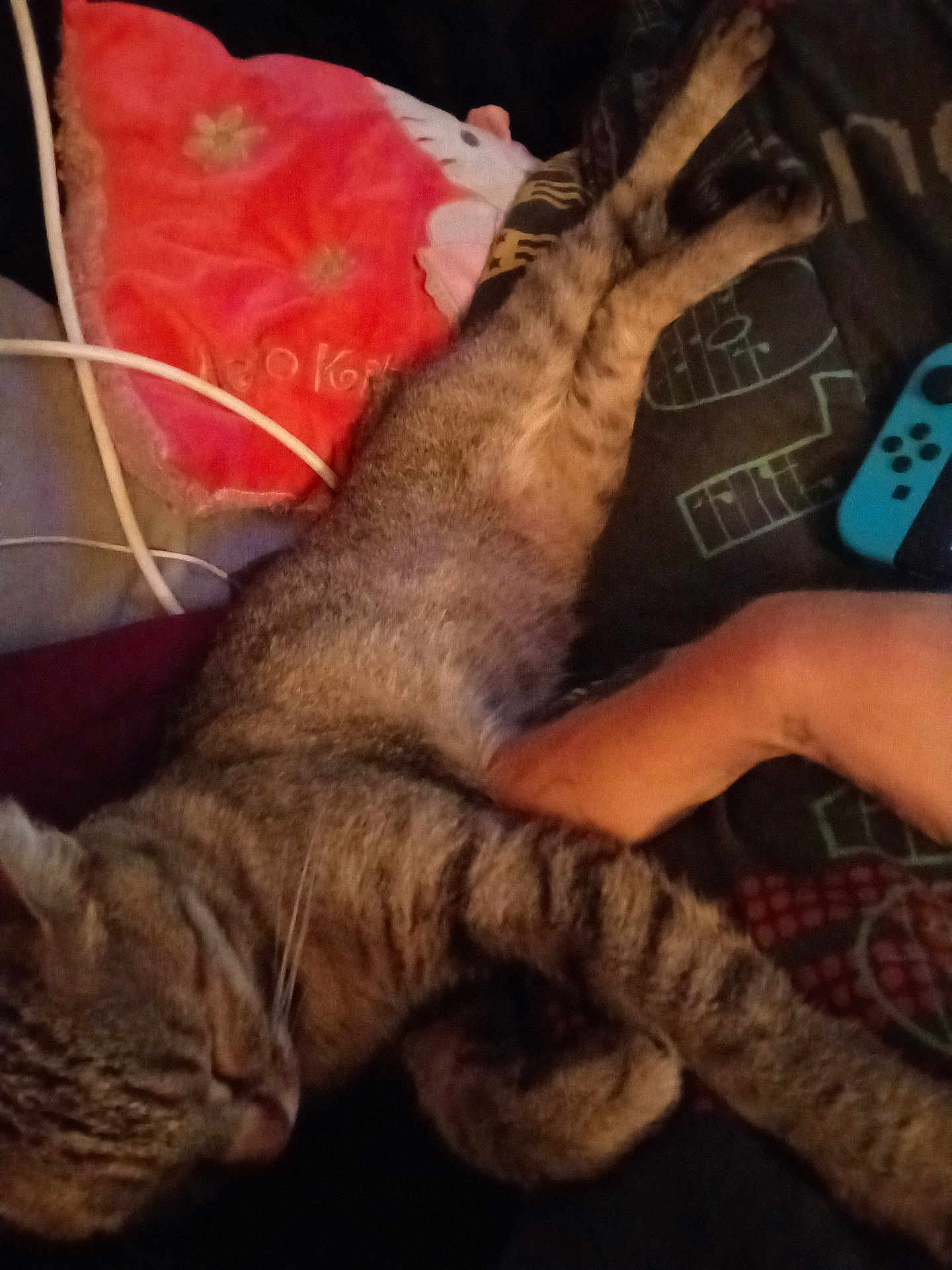 Maya